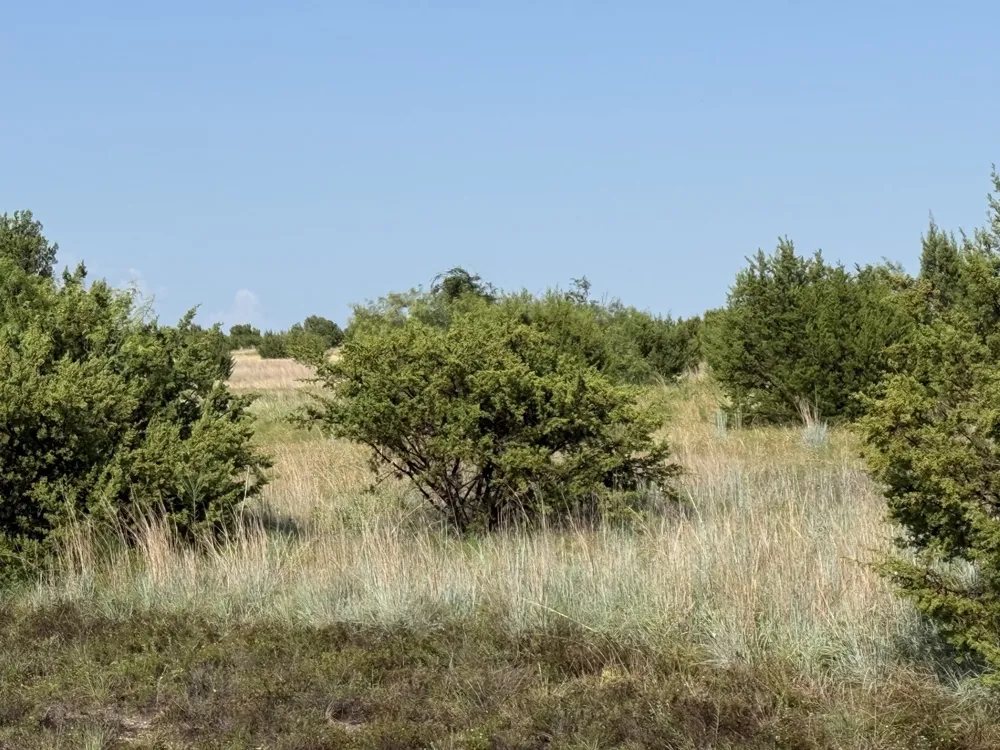 706 Rory Crossing Lipan, TX 76462