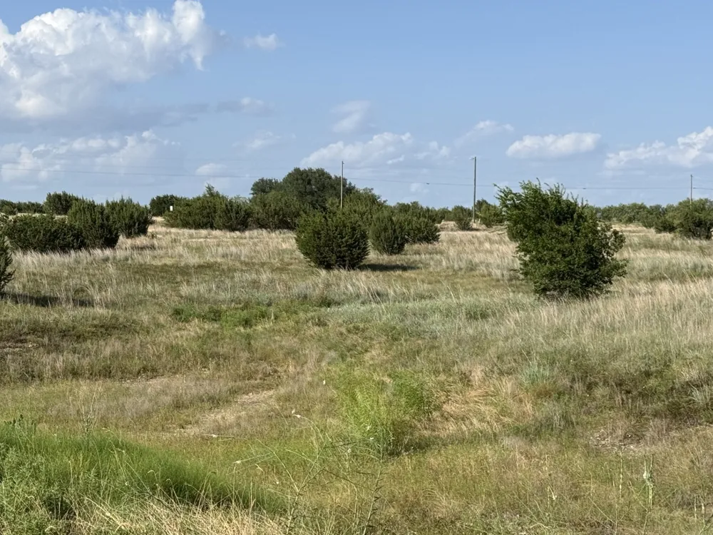 706 Rory Crossing Lipan, TX 76462