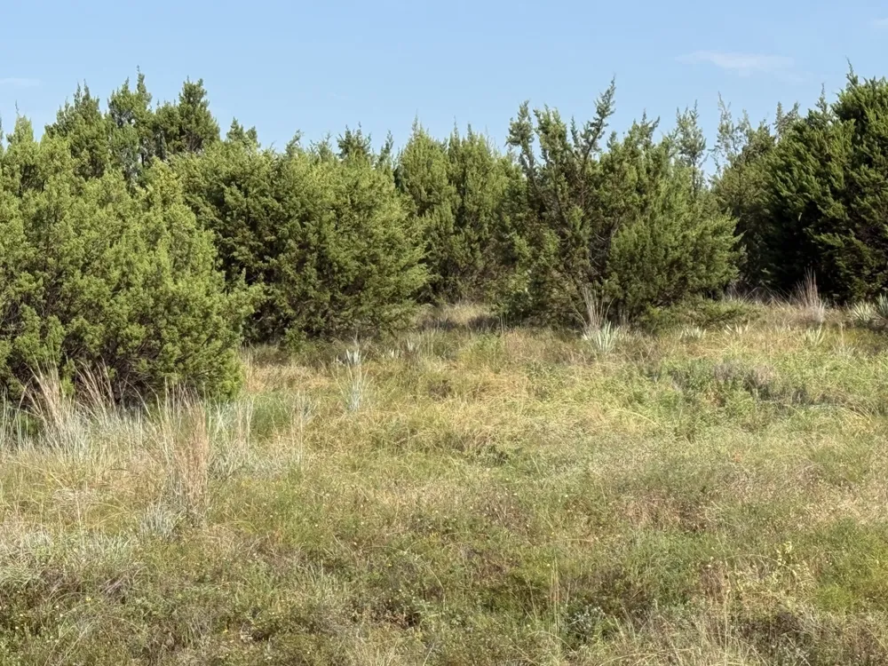 706 Rory Crossing Lipan, TX 76462