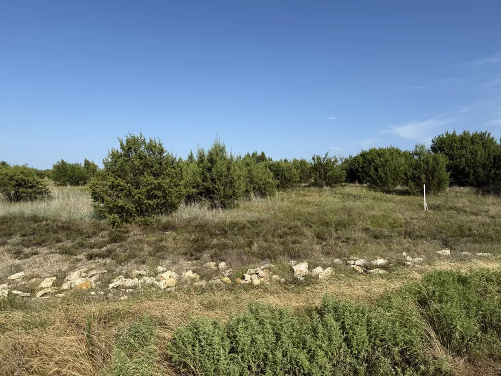 706 Rory Crossing Lipan, TX 76462
