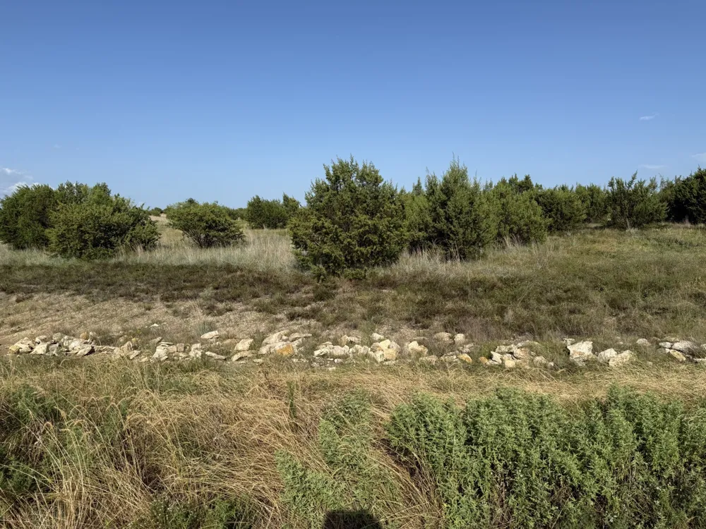 706 Rory Crossing Lipan, TX 76462