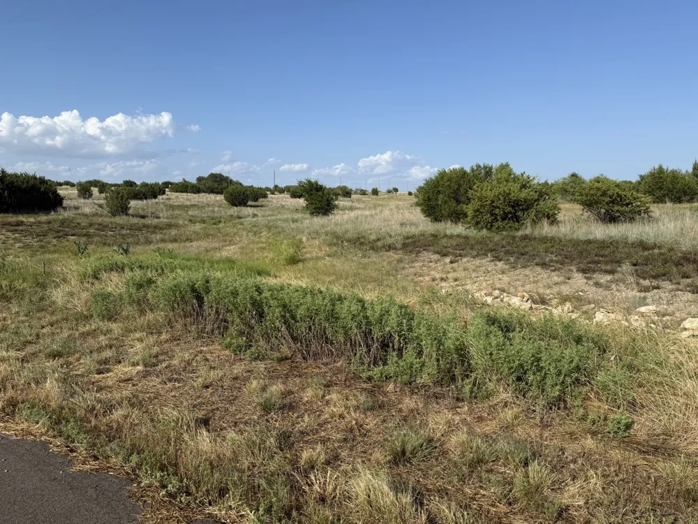 706 Rory Crossing Lipan, TX 76462