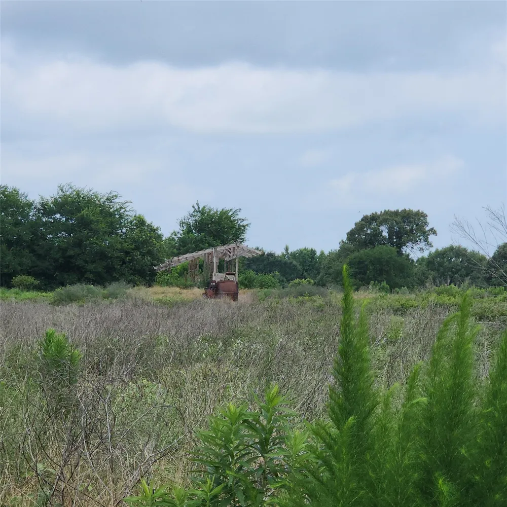 6705 Fox Road Gilmer, TX 75644