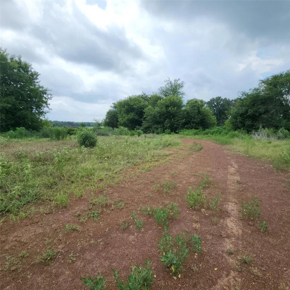 6705 Fox Road Gilmer, TX 75644