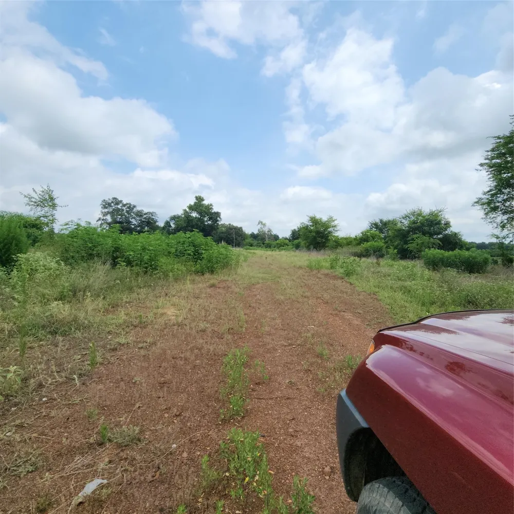 6705 Fox Road Gilmer, TX 75644