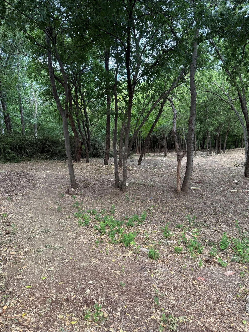 710 Spring Miller Court #C Arlington, TX 76002