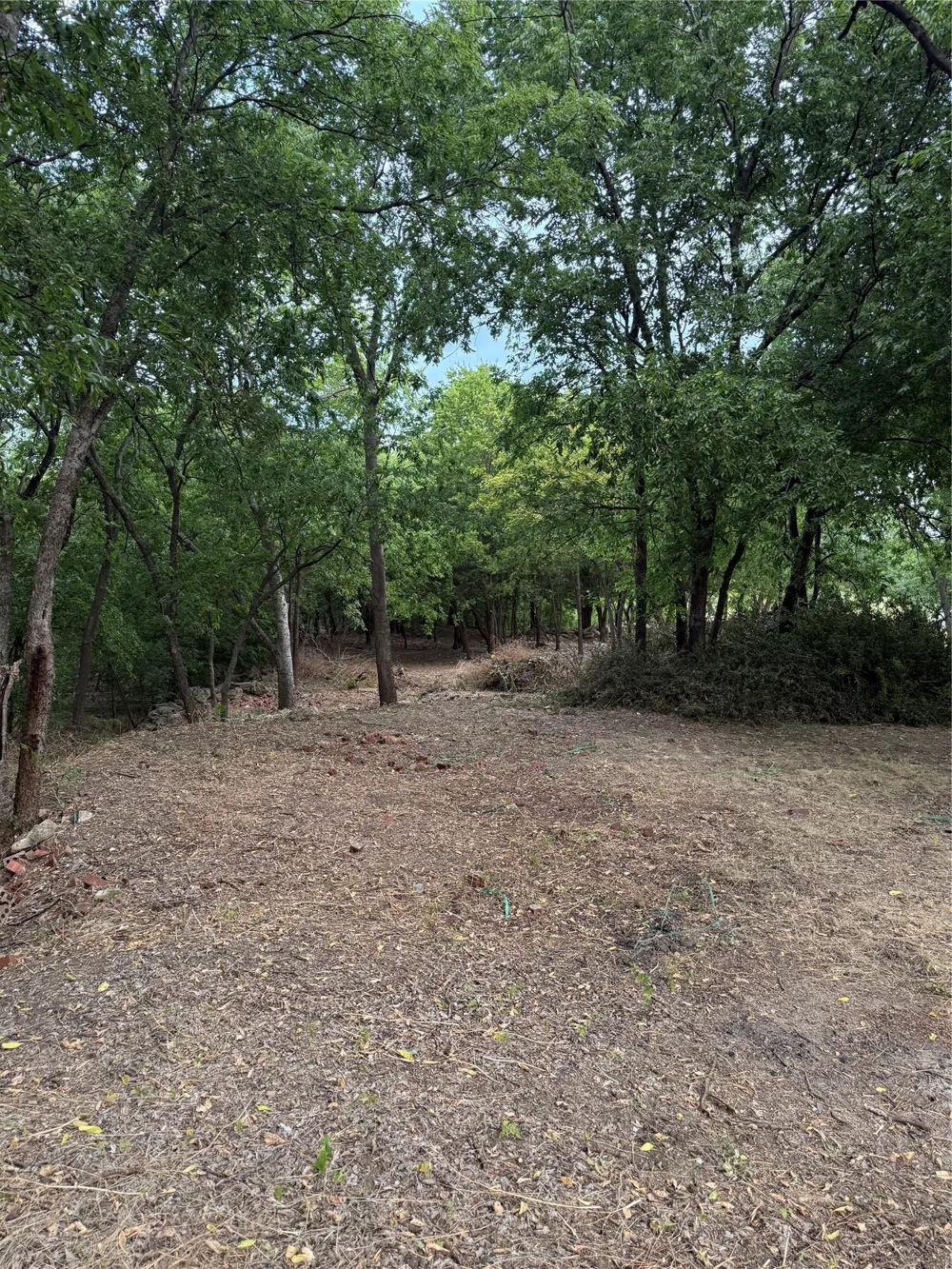 710 Spring Miller Court #C Arlington, TX 76002