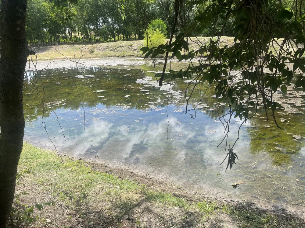 223 Longview Creek Trail Itasca, TX 76055