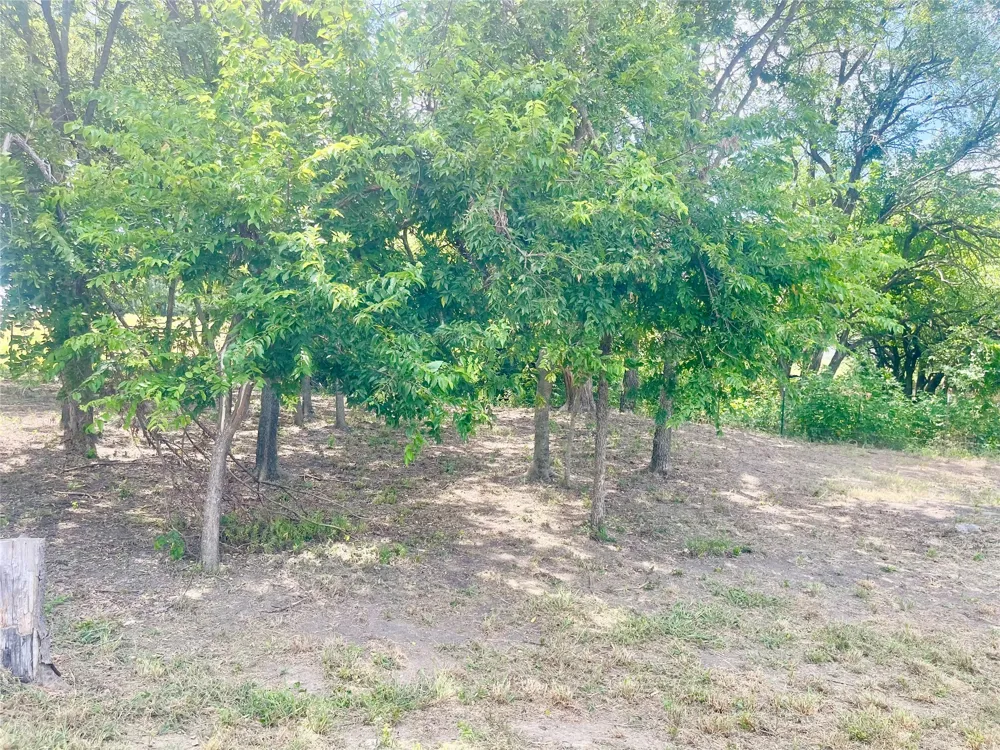 223 Longview Creek Trail Itasca, TX 76055