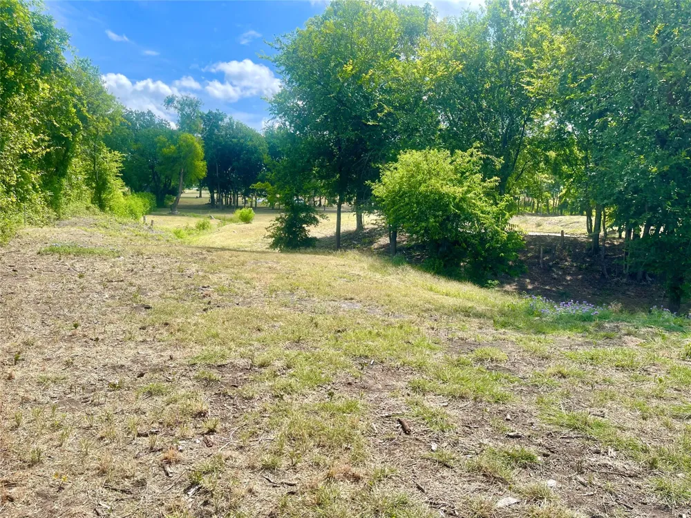 223 Longview Creek Trail Itasca, TX 76055