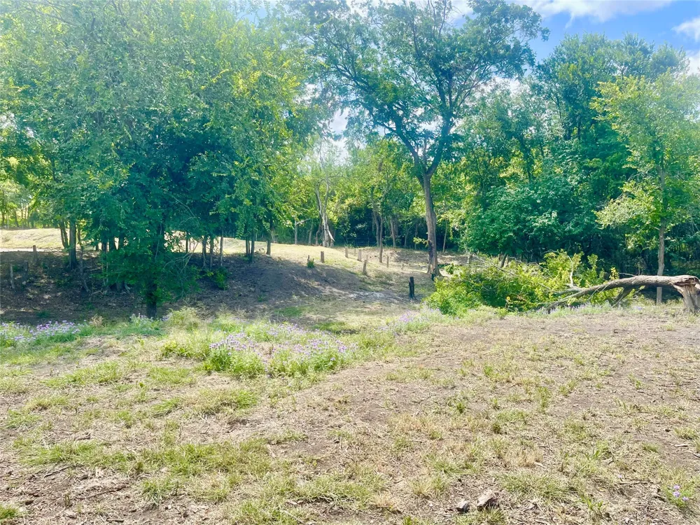 223 Longview Creek Trail Itasca, TX 76055
