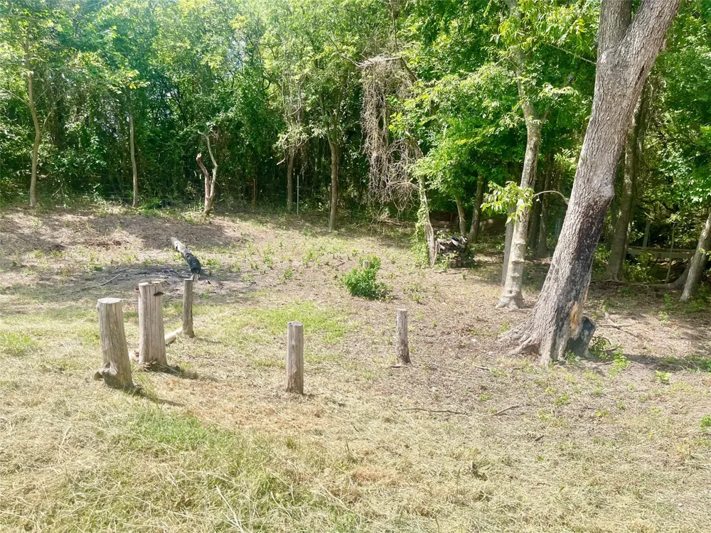 223 Longview Creek Trail Itasca, TX 76055