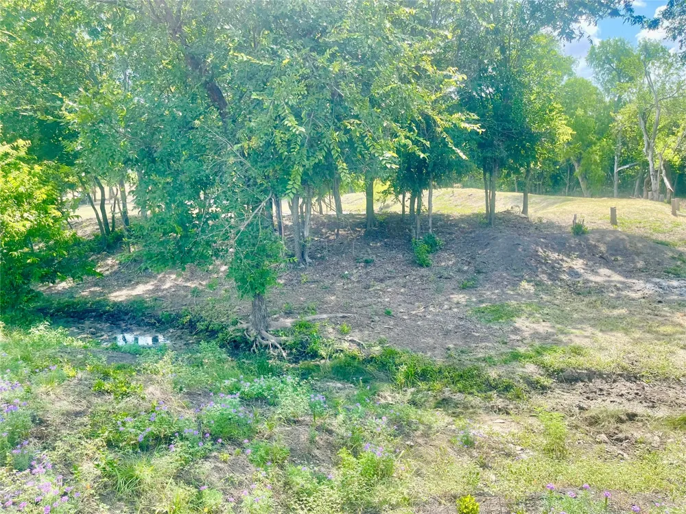 223 Longview Creek Trail Itasca, TX 76055