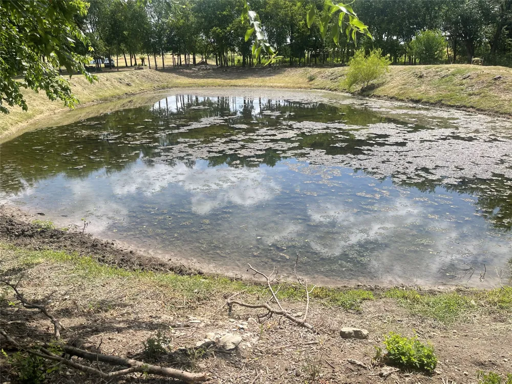 223 Longview Creek Trail Itasca, TX 76055