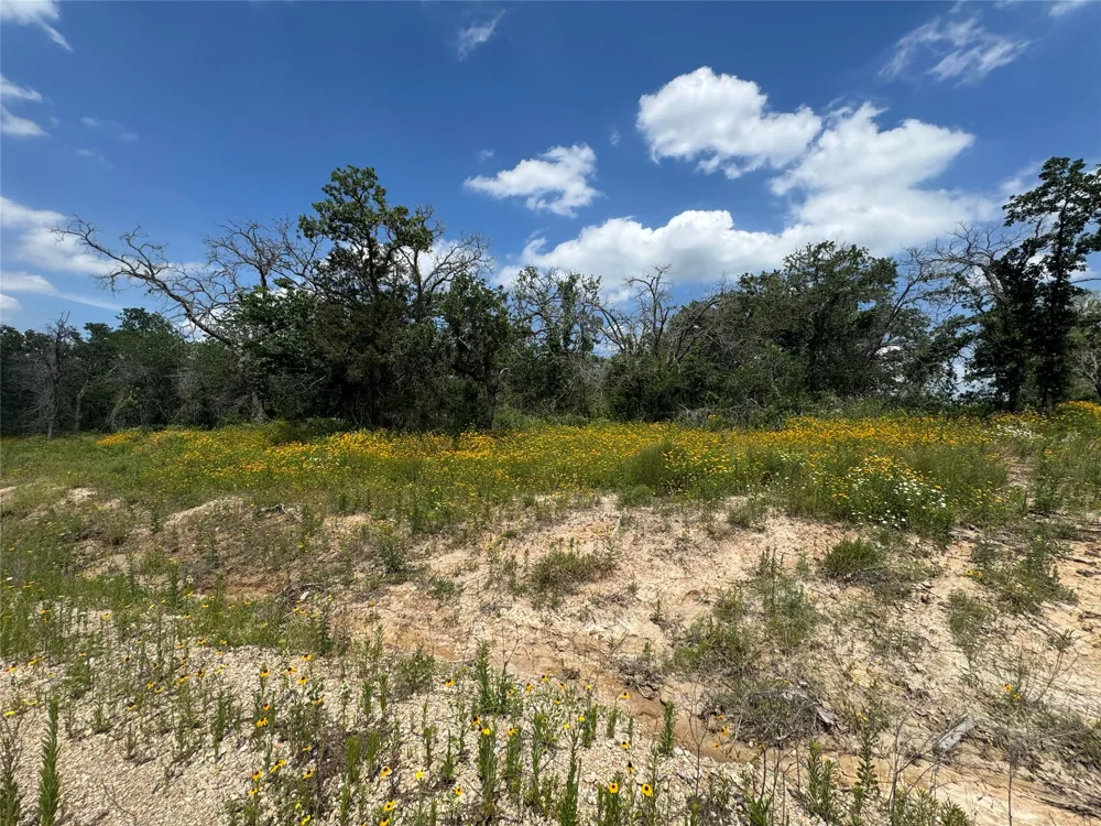 1059 Glenoaks Drive Weatherford, TX 76088