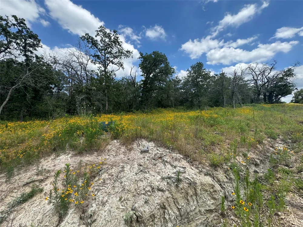 1059 Glenoaks Drive Weatherford, TX 76088