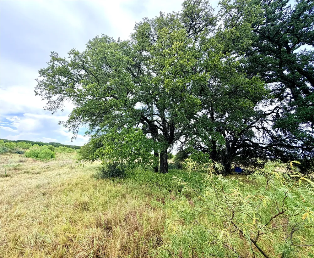 104 Live Oak Mott Drive Goldthwaite, TX 76844