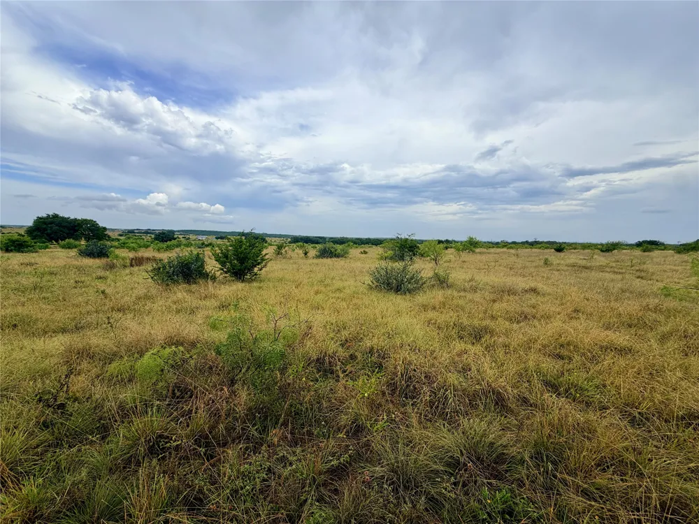 104 Live Oak Mott Drive Goldthwaite, TX 76844