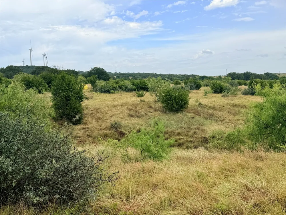 104 Live Oak Mott Drive Goldthwaite, TX 76844