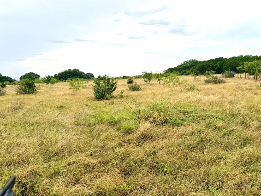 104 Live Oak Mott Drive Goldthwaite, TX 76844