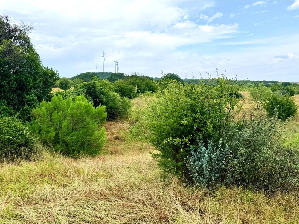 104 Live Oak Mott Drive Goldthwaite, TX 76844