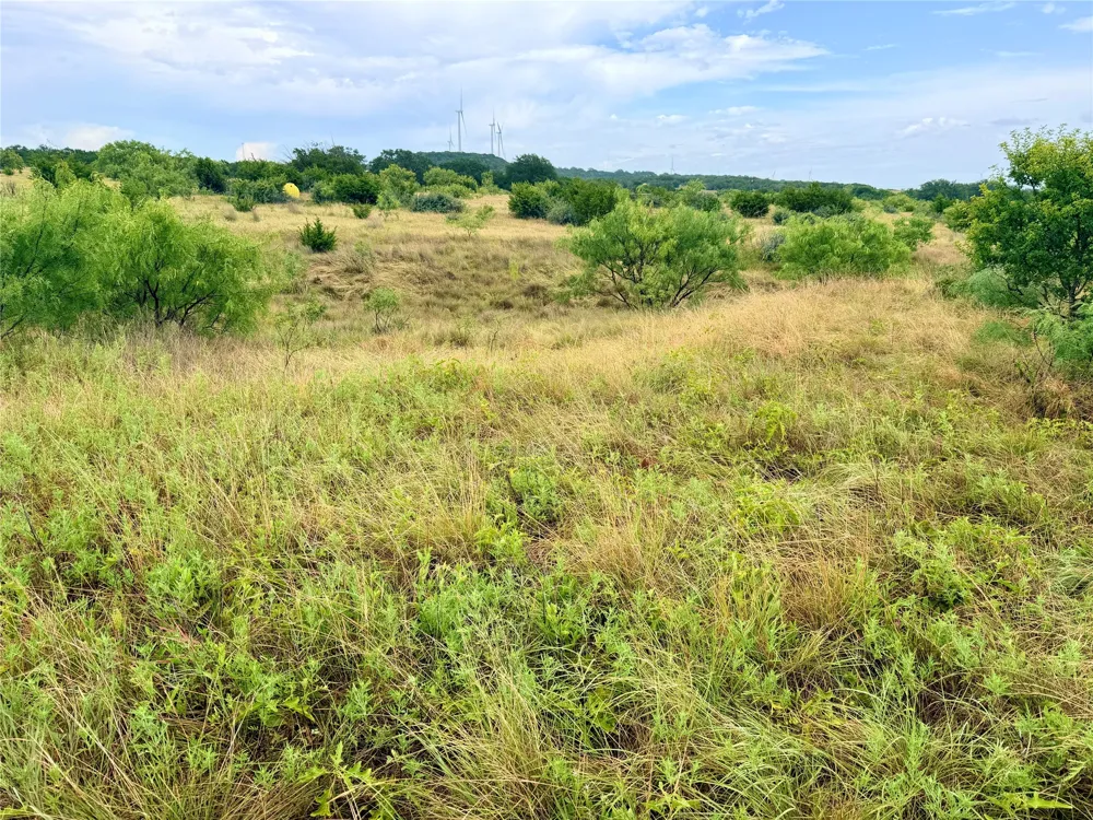 104 Live Oak Mott Drive Goldthwaite, TX 76844