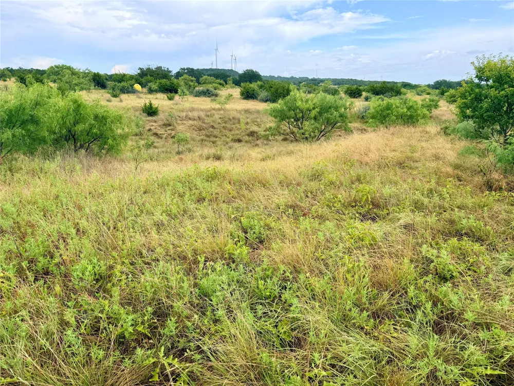 104 Live Oak Mott Drive Goldthwaite, TX 76844