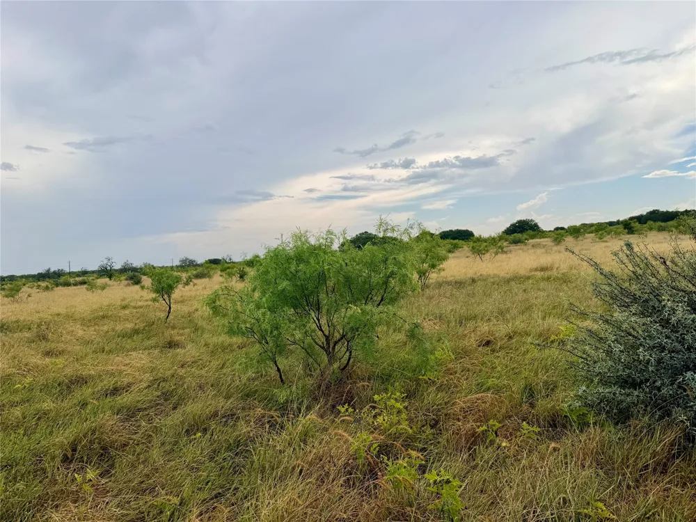 104 Live Oak Mott Drive Goldthwaite, TX 76844