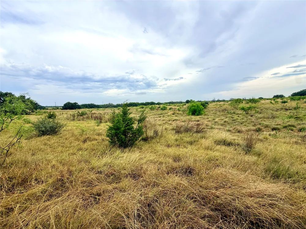 104 Live Oak Mott Drive Goldthwaite, TX 76844