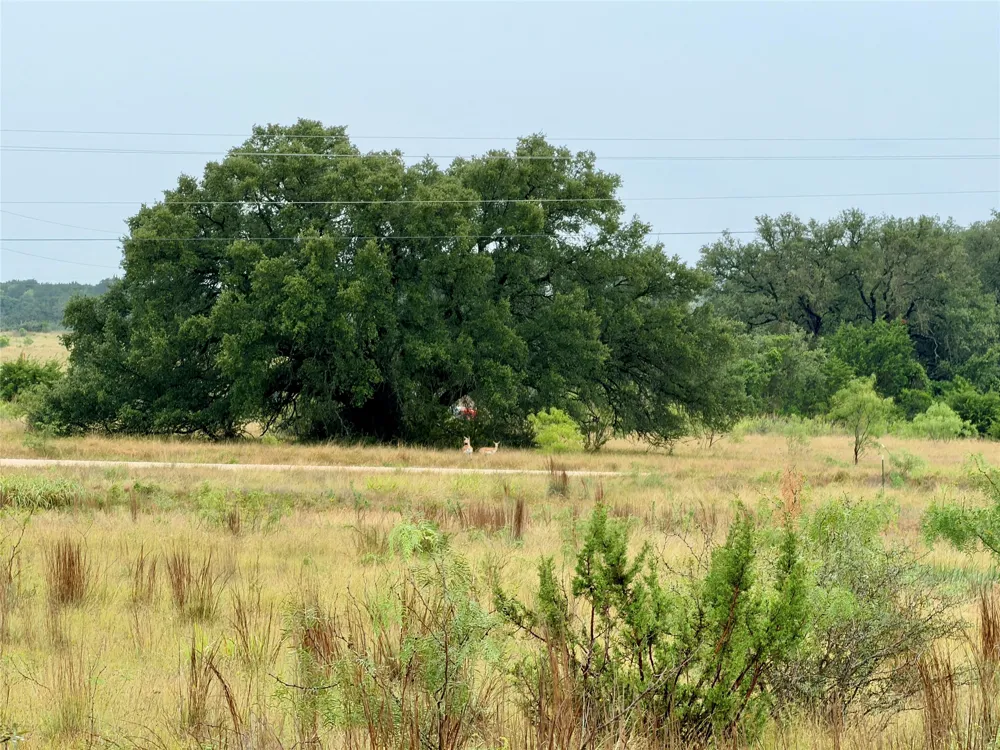 104 Live Oak Mott Drive Goldthwaite, TX 76844