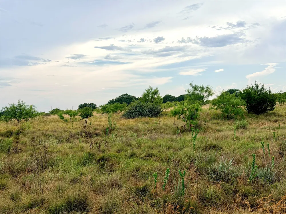 104 Live Oak Mott Drive Goldthwaite, TX 76844