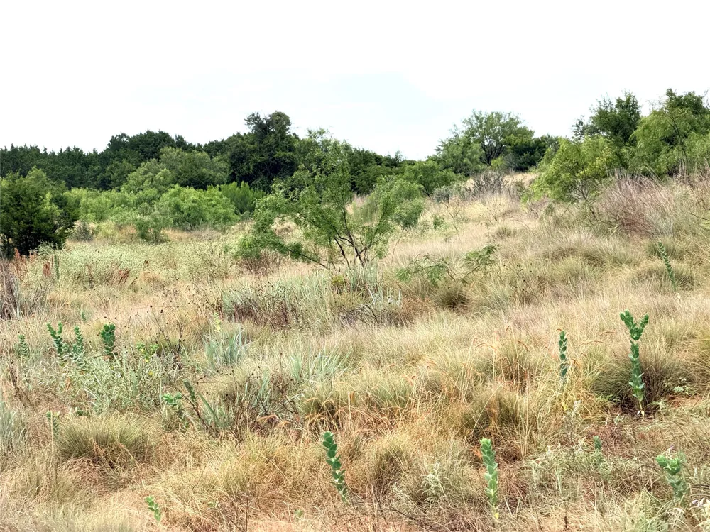 104 Live Oak Mott Drive Goldthwaite, TX 76844