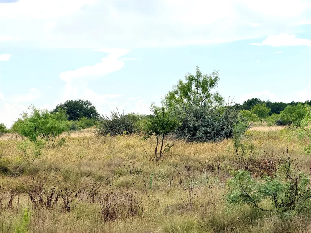 104 Live Oak Mott Drive Goldthwaite, TX 76844