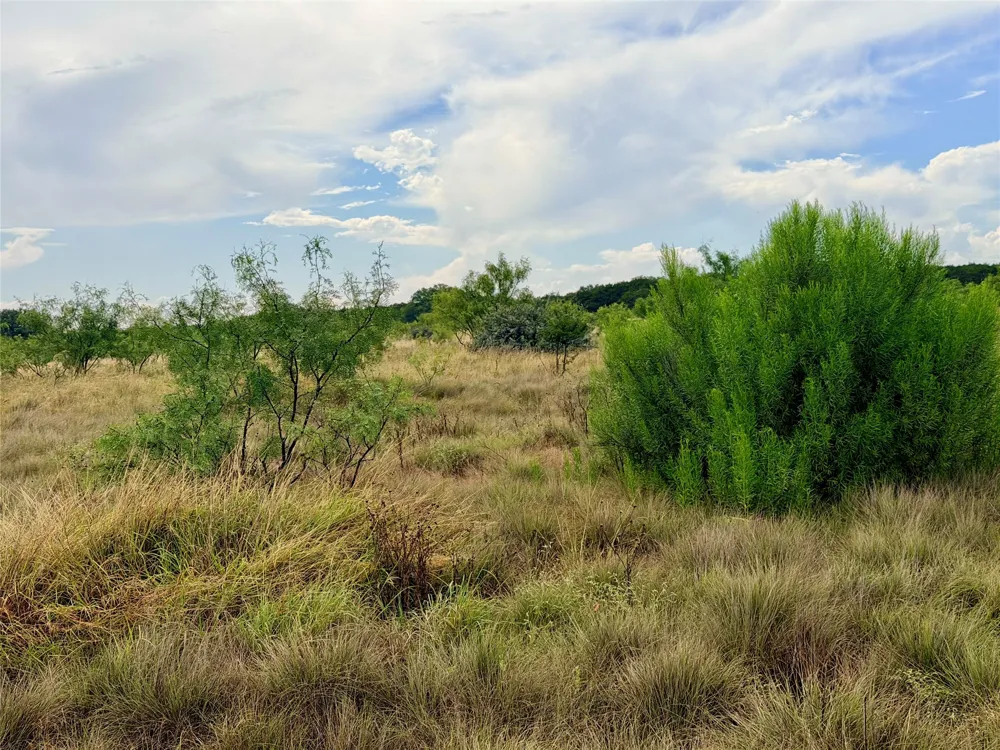 104 Live Oak Mott Drive Goldthwaite, TX 76844