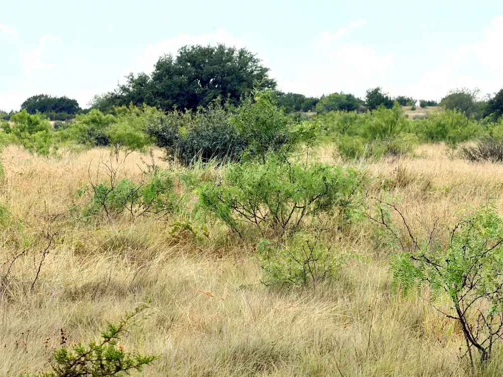 104 Live Oak Mott Drive Goldthwaite, TX 76844