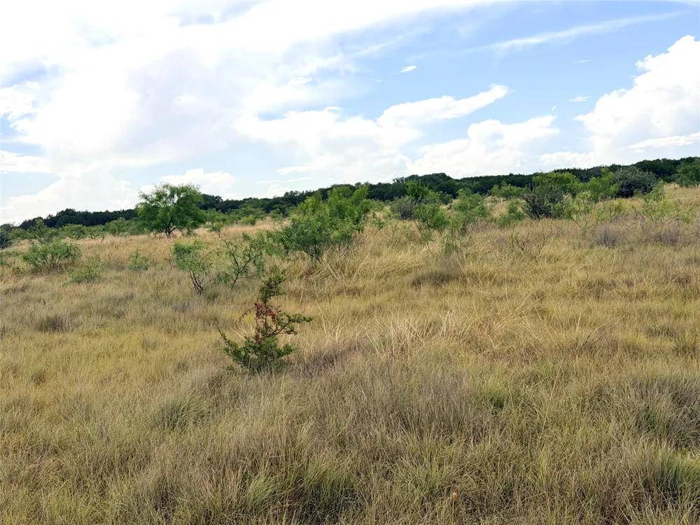 104 Live Oak Mott Drive Goldthwaite, TX 76844