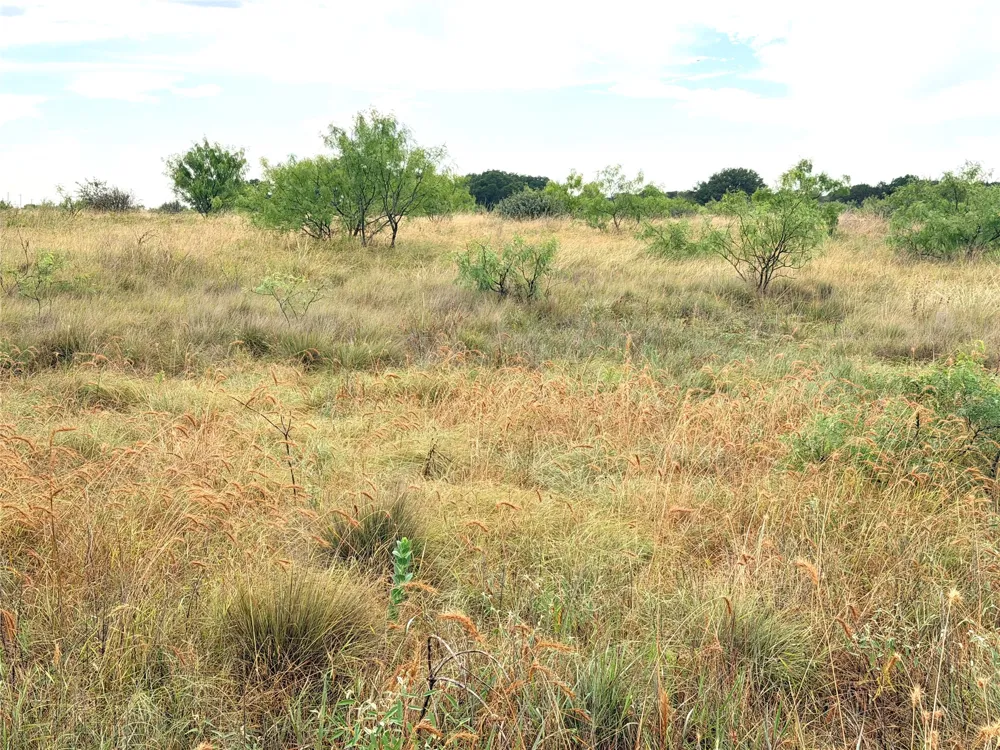 104 Live Oak Mott Drive Goldthwaite, TX 76844