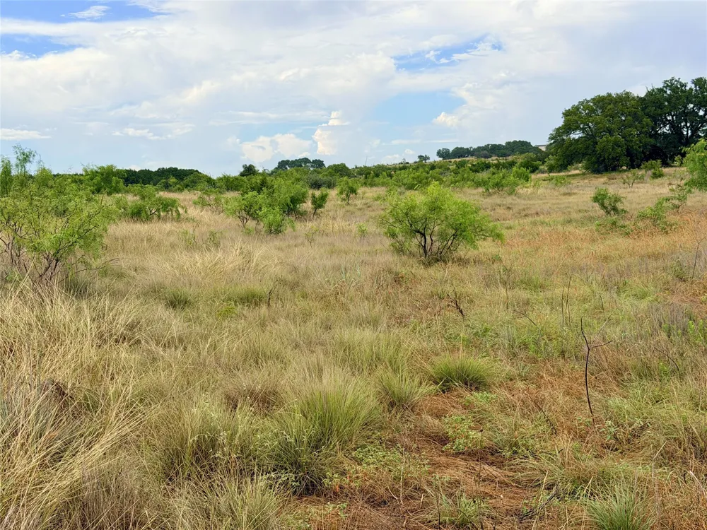 104 Live Oak Mott Drive Goldthwaite, TX 76844