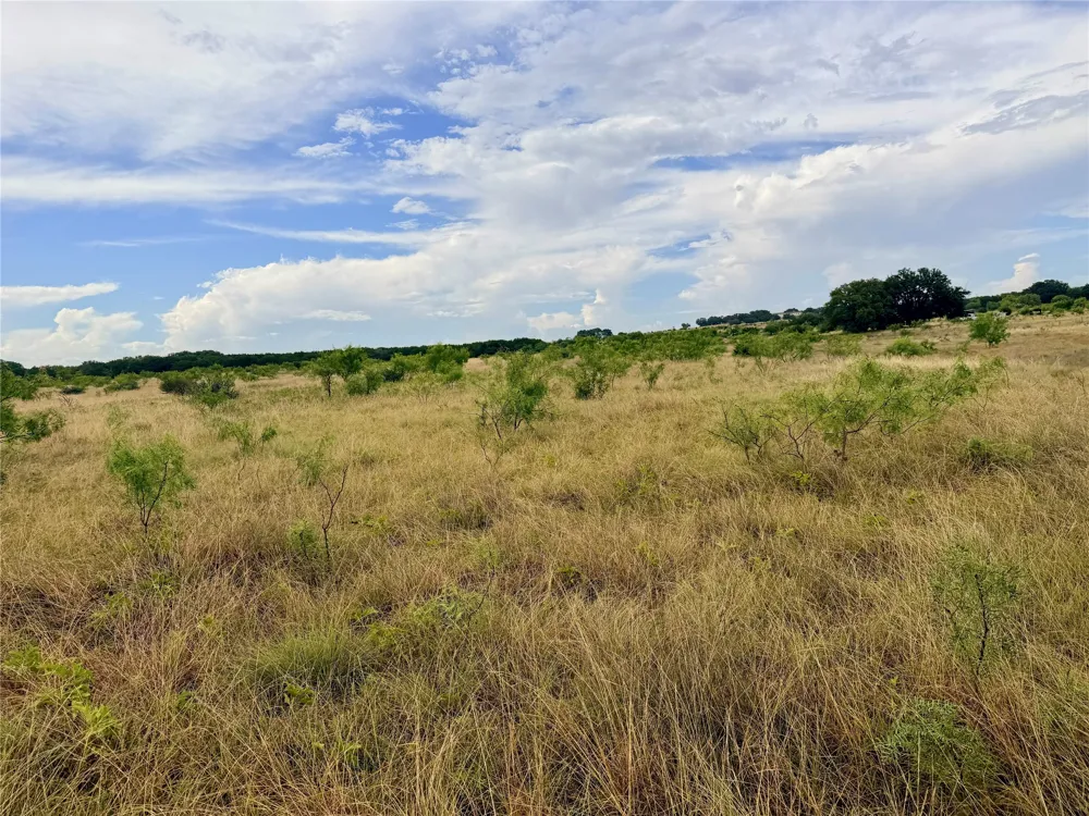 104 Live Oak Mott Drive Goldthwaite, TX 76844
