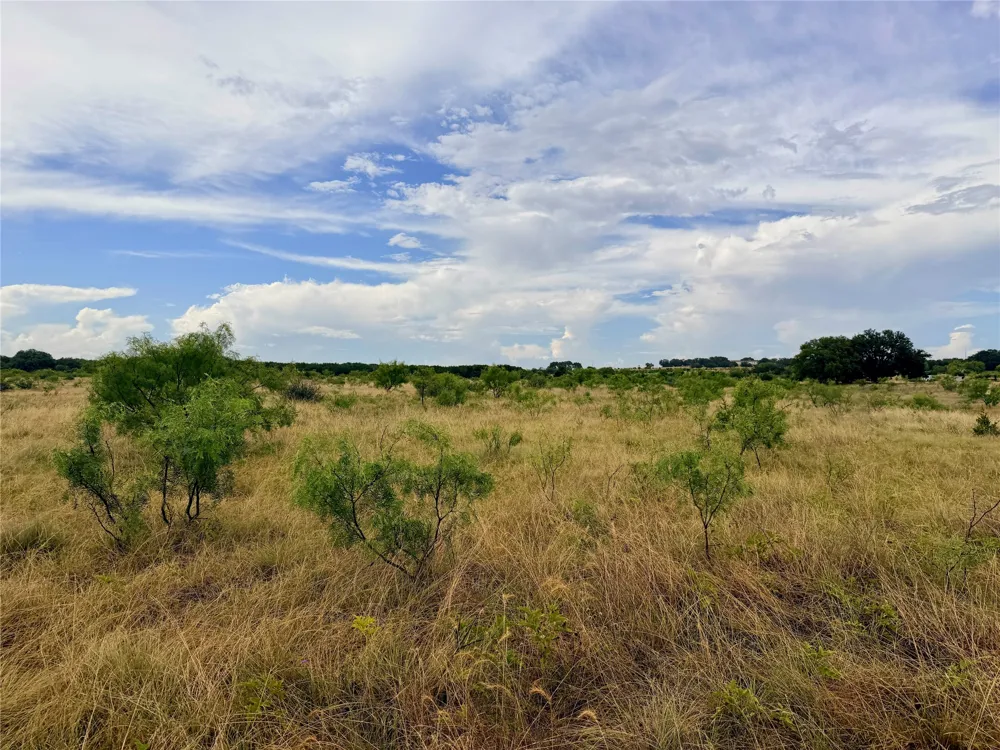 104 Live Oak Mott Drive Goldthwaite, TX 76844