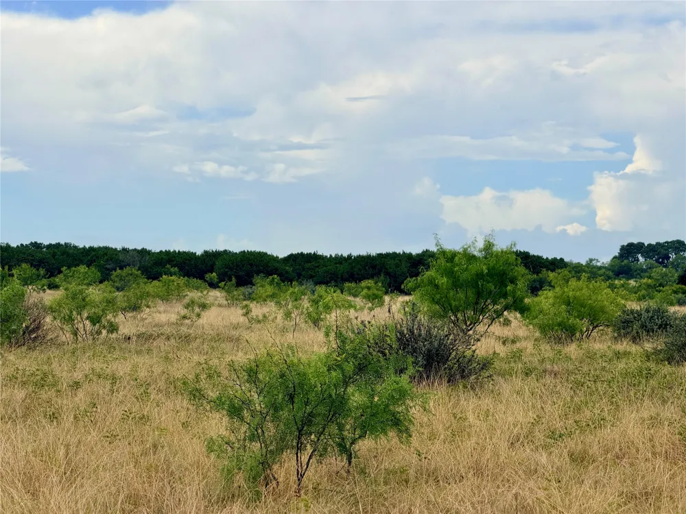 104 Live Oak Mott Drive Goldthwaite, TX 76844