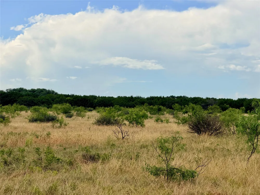 104 Live Oak Mott Drive Goldthwaite, TX 76844
