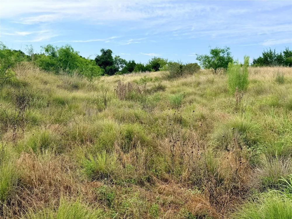 104 Live Oak Mott Drive Goldthwaite, TX 76844