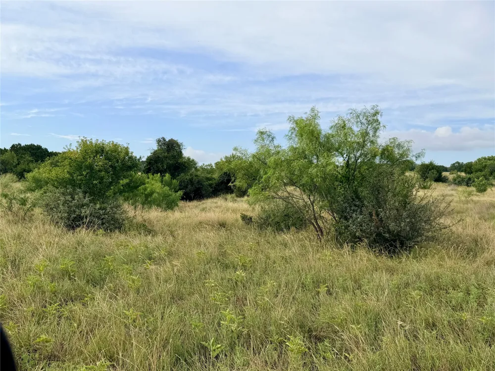 104 Live Oak Mott Drive Goldthwaite, TX 76844