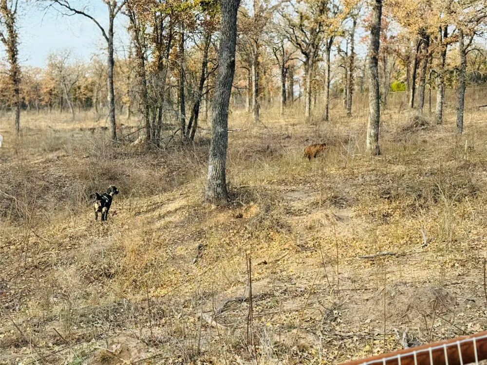800 Private Road 1485 Hico, TX 76457