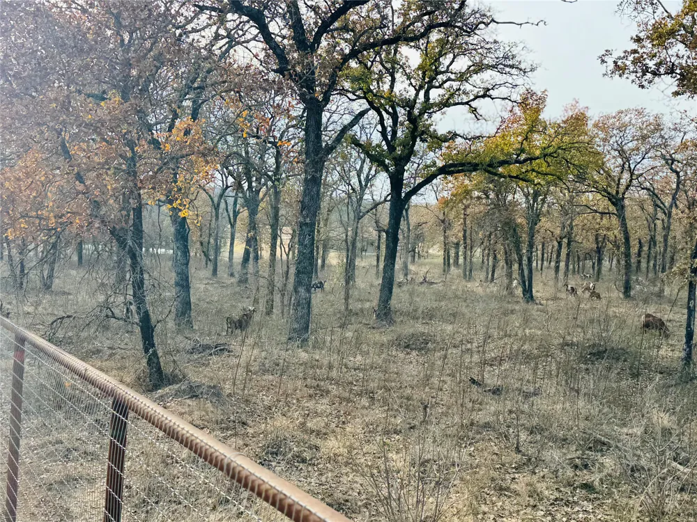 800 Private Road 1485 Hico, TX 76457