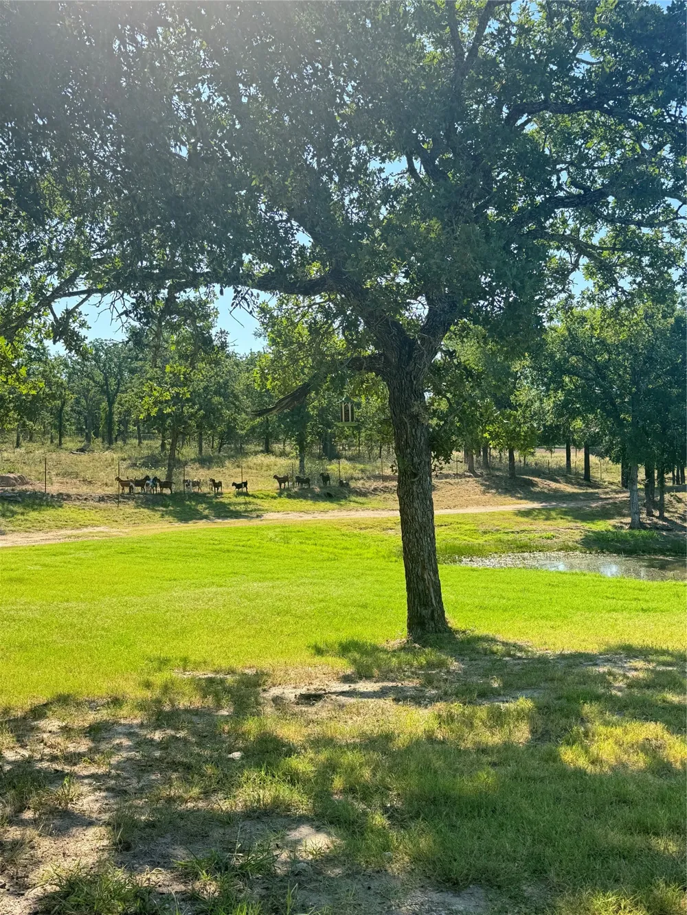 800 Private Road 1485 Hico, TX 76457