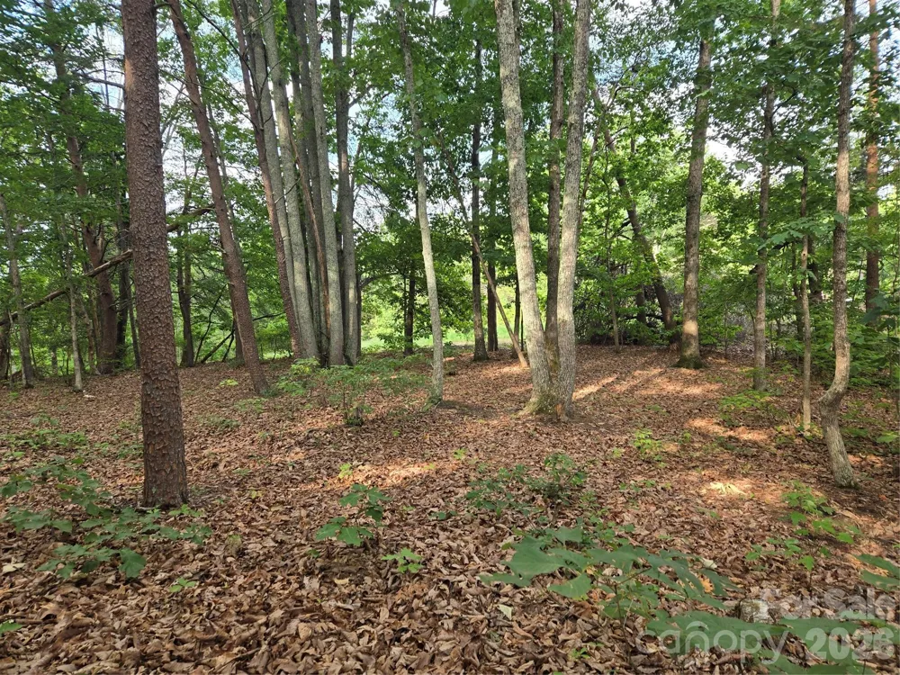 1236 Smithfield Drive Hudson, NC 28638