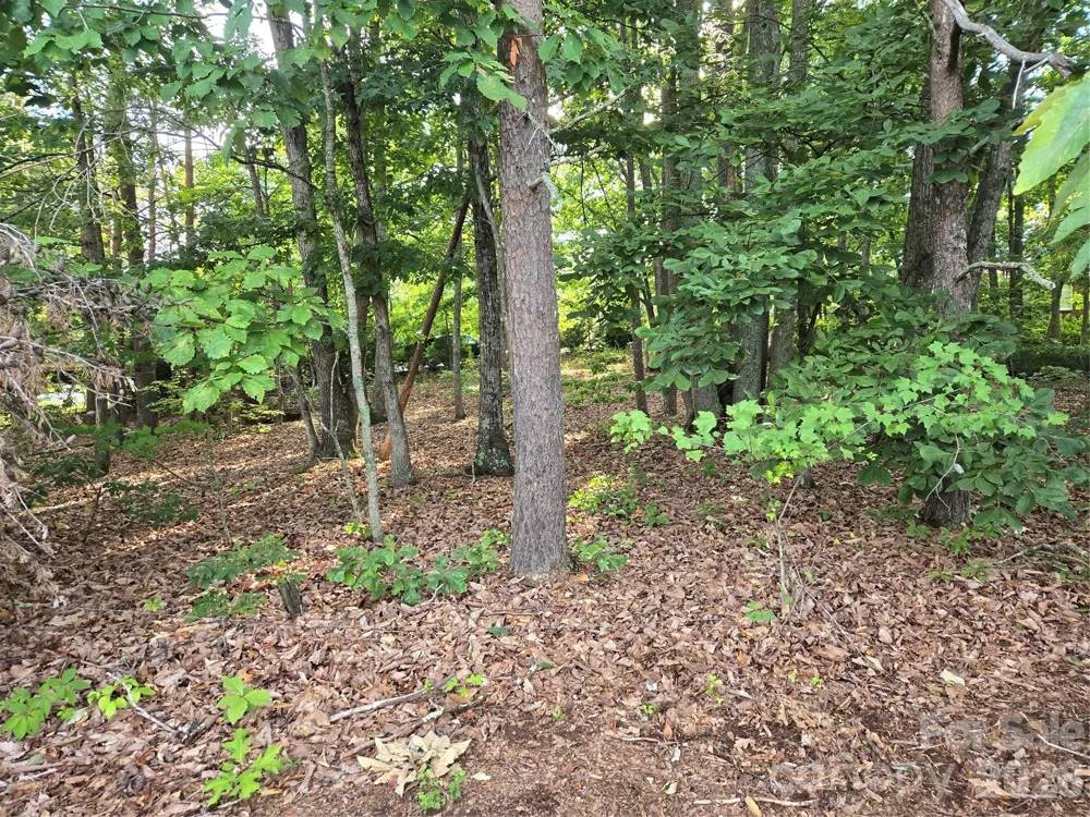 1236 Smithfield Drive Hudson, NC 28638