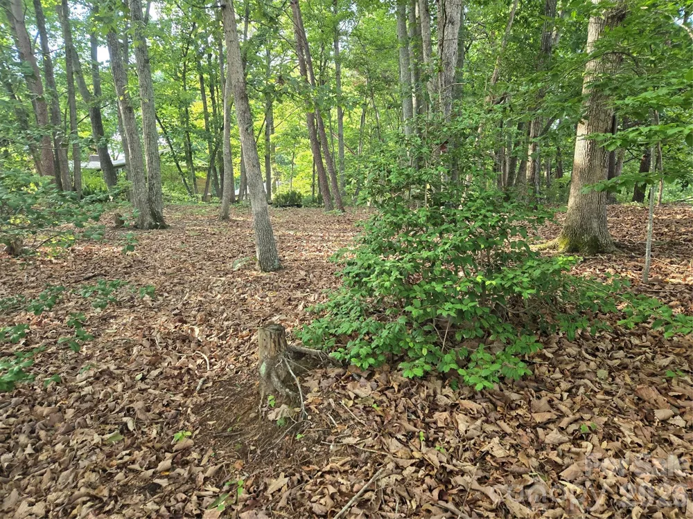 1236 Smithfield Drive Hudson, NC 28638